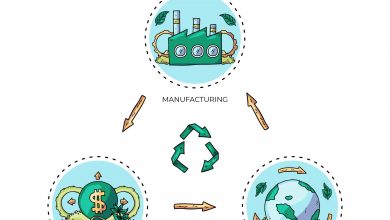Everything That You Need to Know About Circular Economy