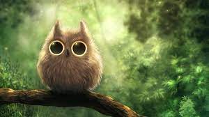 anime owl